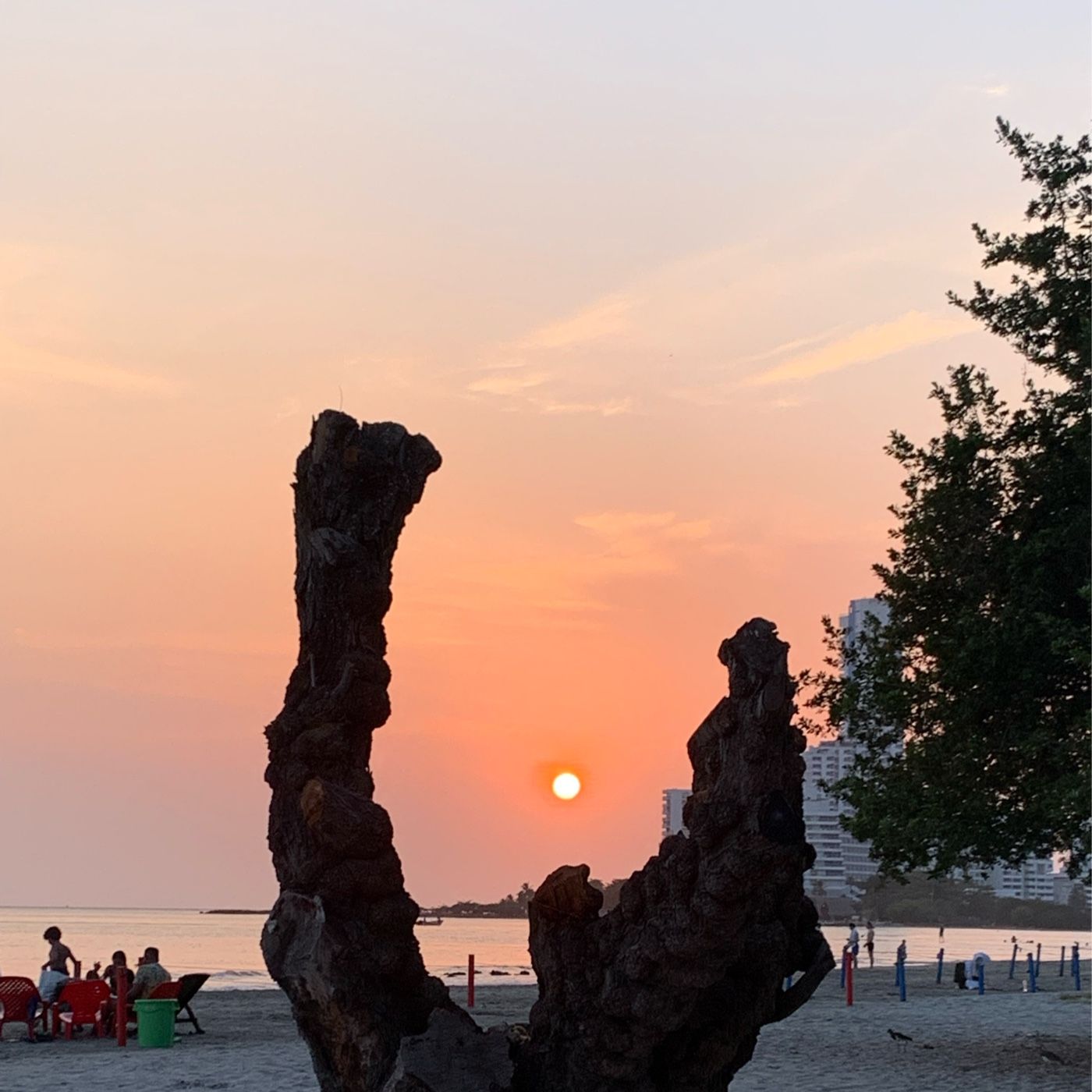 La revisión y evaluación estratégica