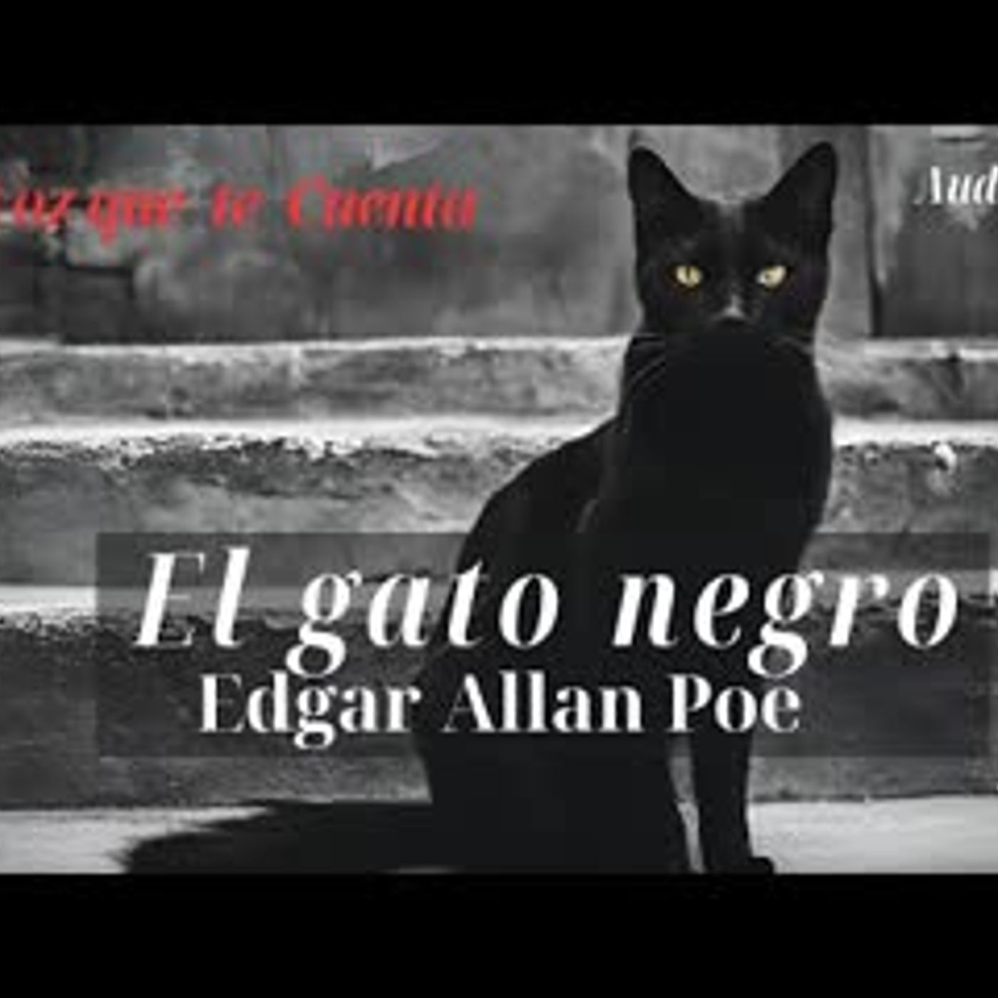 Audiolibro En Español