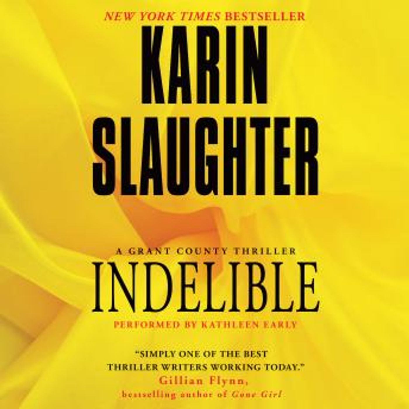 Indelible by Karin Slaughter episode artwork