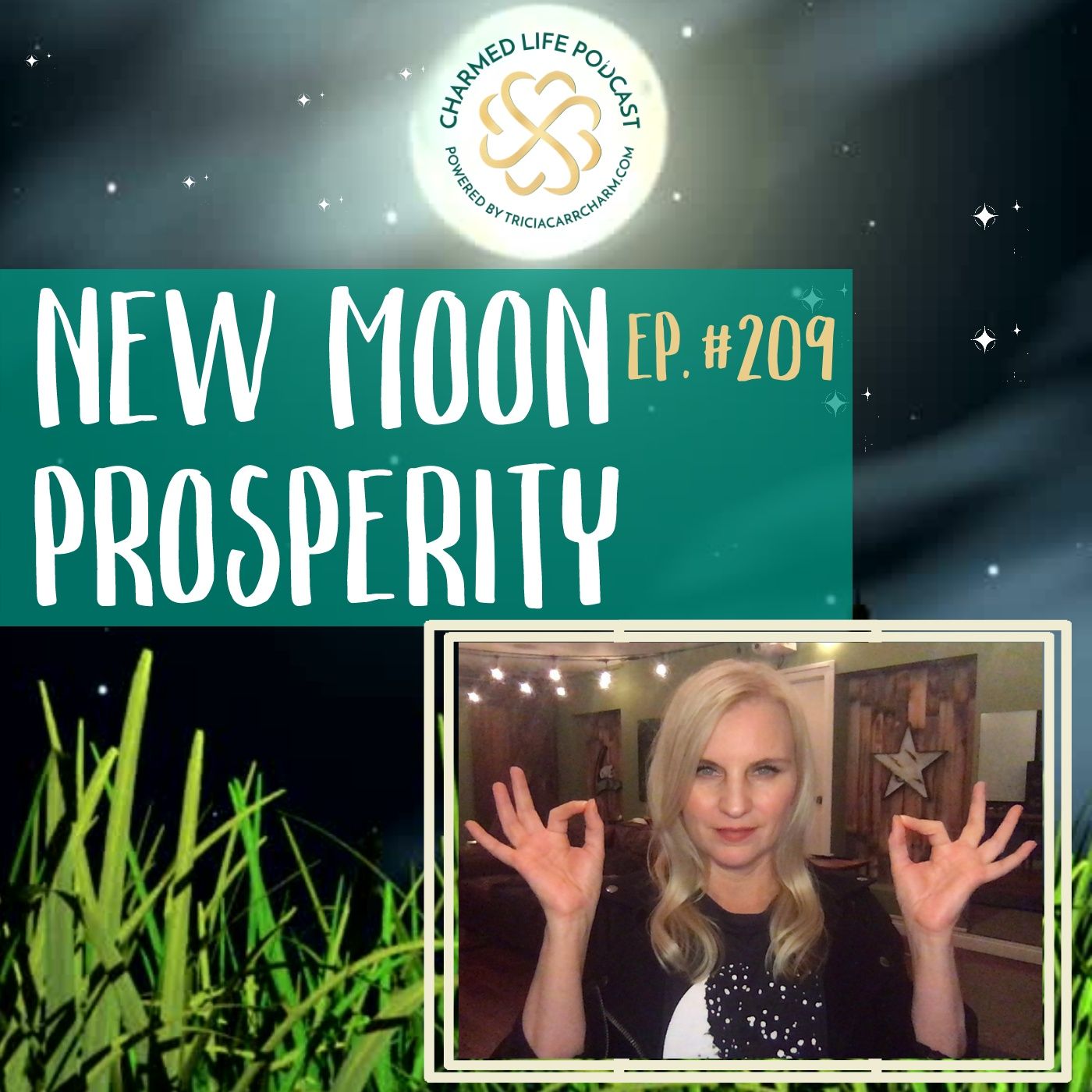 209: Channeled Message for New Moon + Prosperity [Plus a Decree!]
