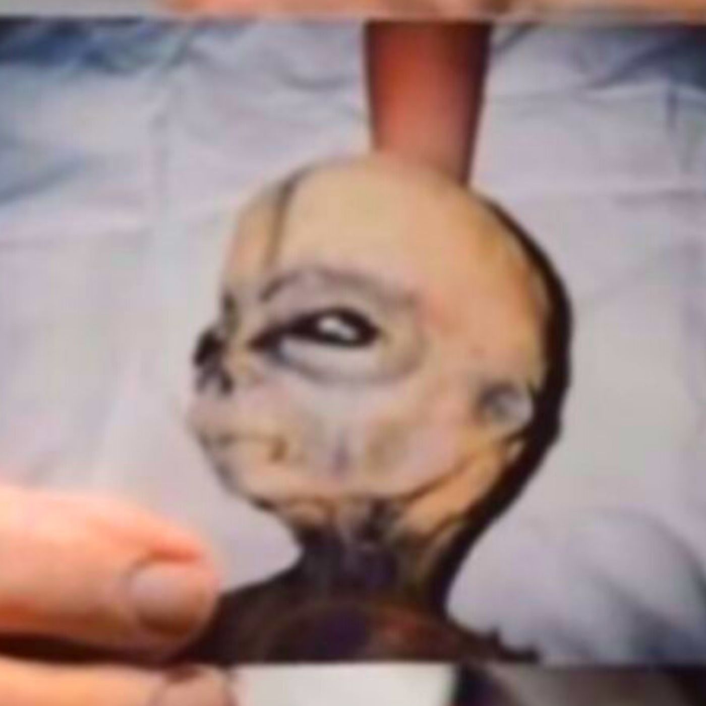 TRUE UFO, Bigfoot and Ghost Stories