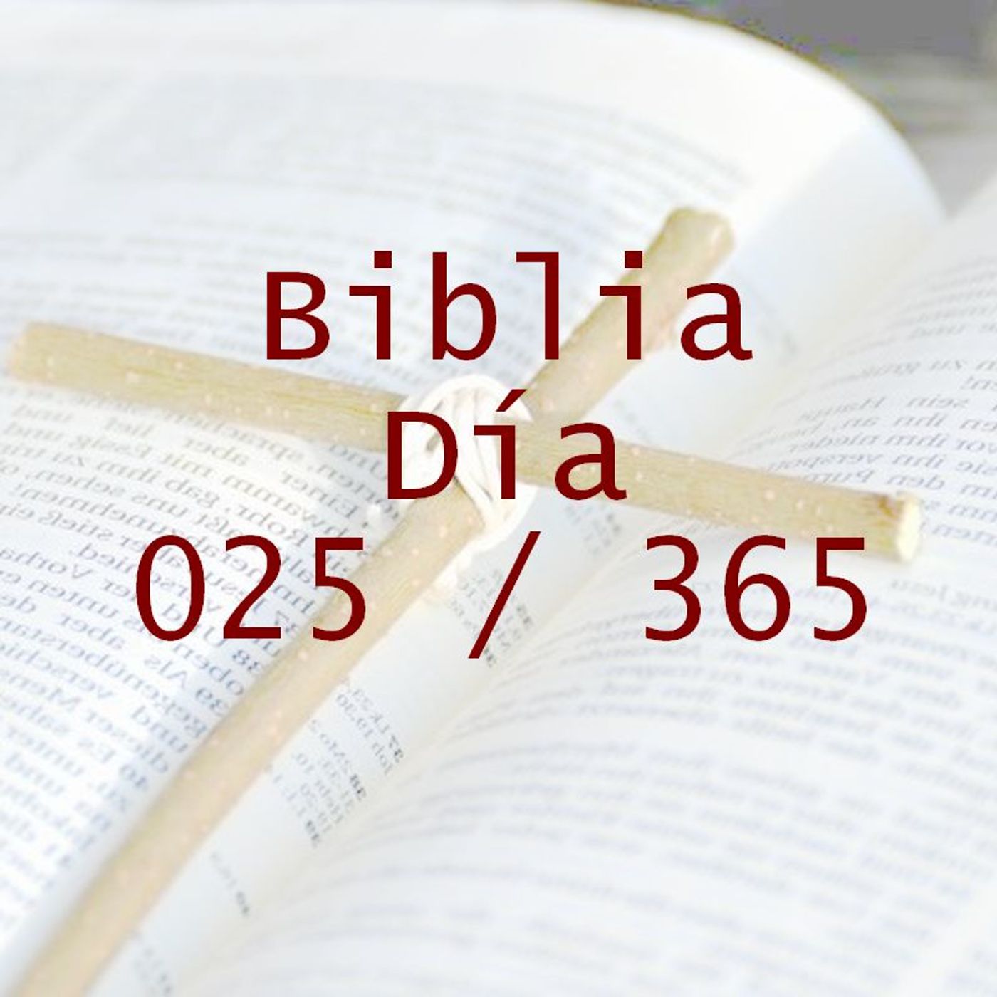 La Biblia en 365 dias