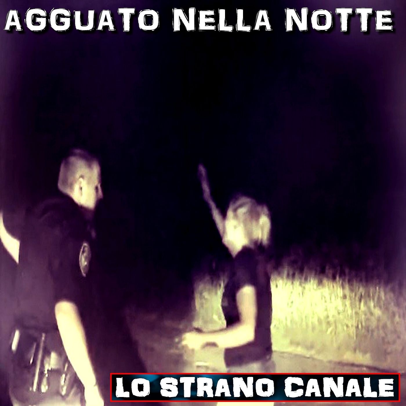 cover of episode AGGUATO NELLA NOTTE - IL CASO DI CHACEY POYNTER (Lo Strano Canale Podcast)