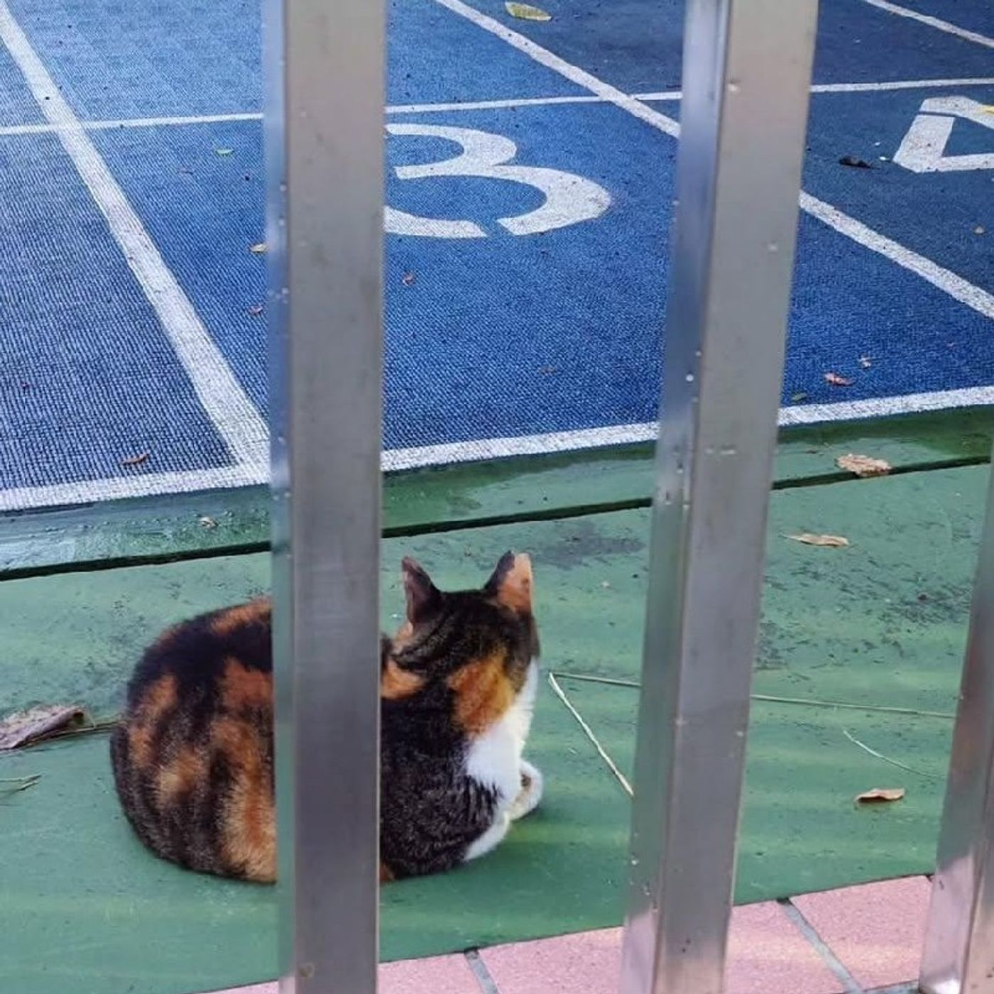 Ep373 - Diane's Tarot Diary: 我的塔羅日記 閒聊•角度與選擇