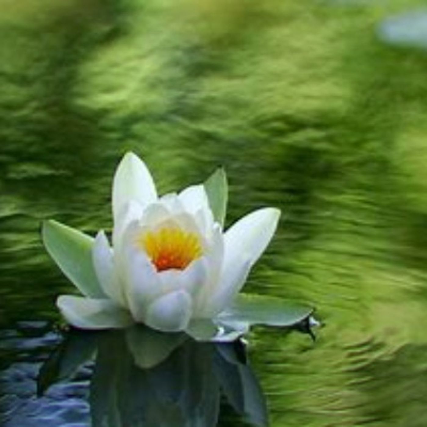 Sound Meditation Podcast