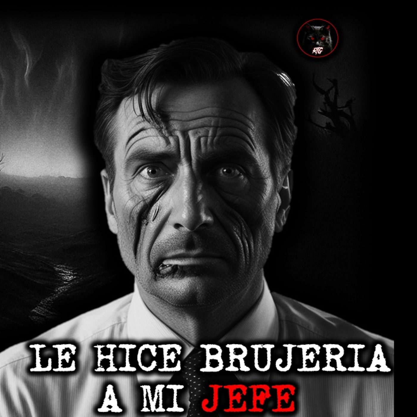 Relatos de Terror del Gato