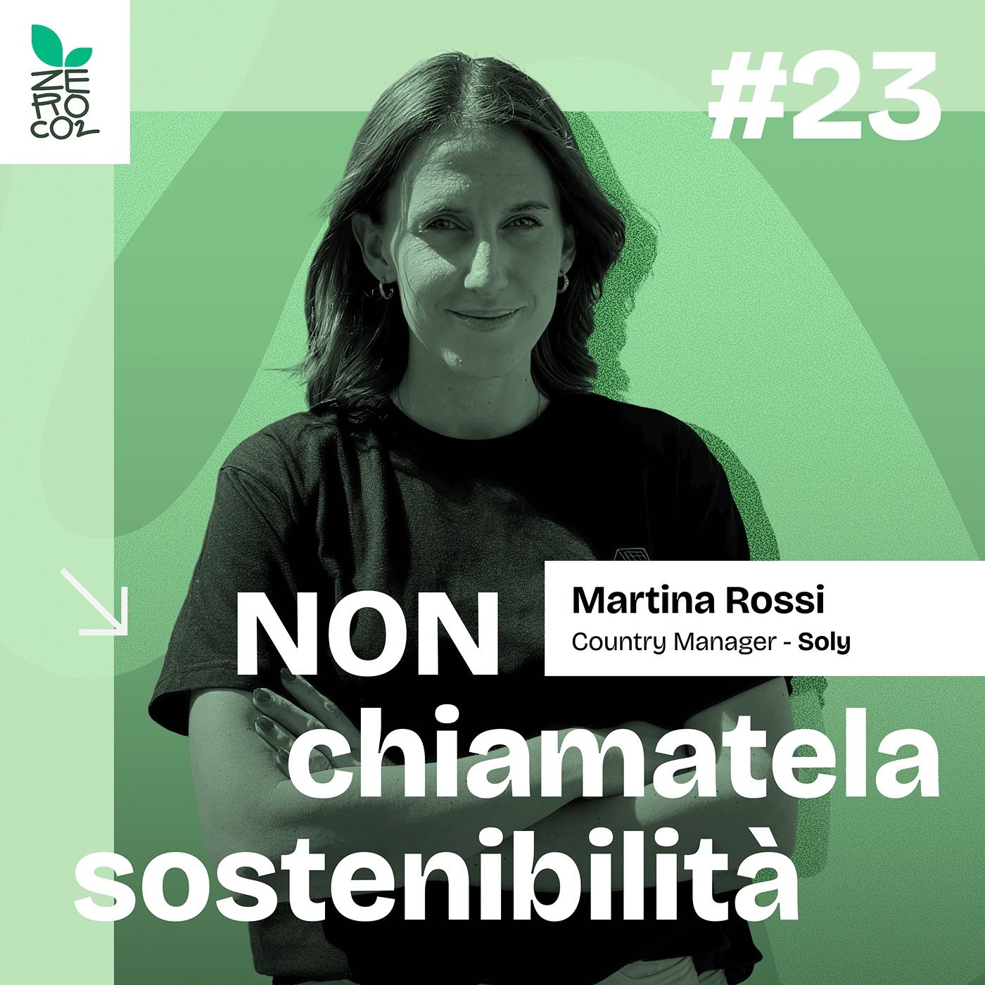Non chiamatela Sostenibilità