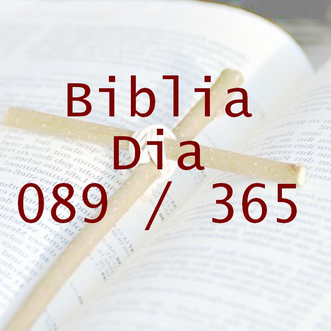 La Biblia en 365 dias