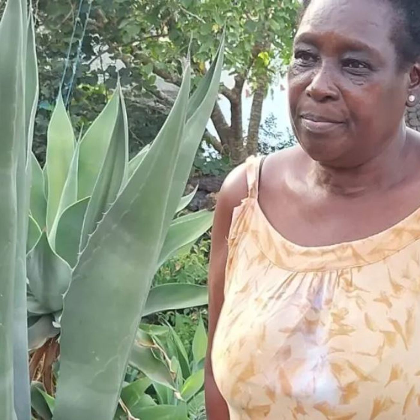 Margaret, l'ostetrica africana che vive a Linosa e aiuta i bambini ugandesi episode artwork