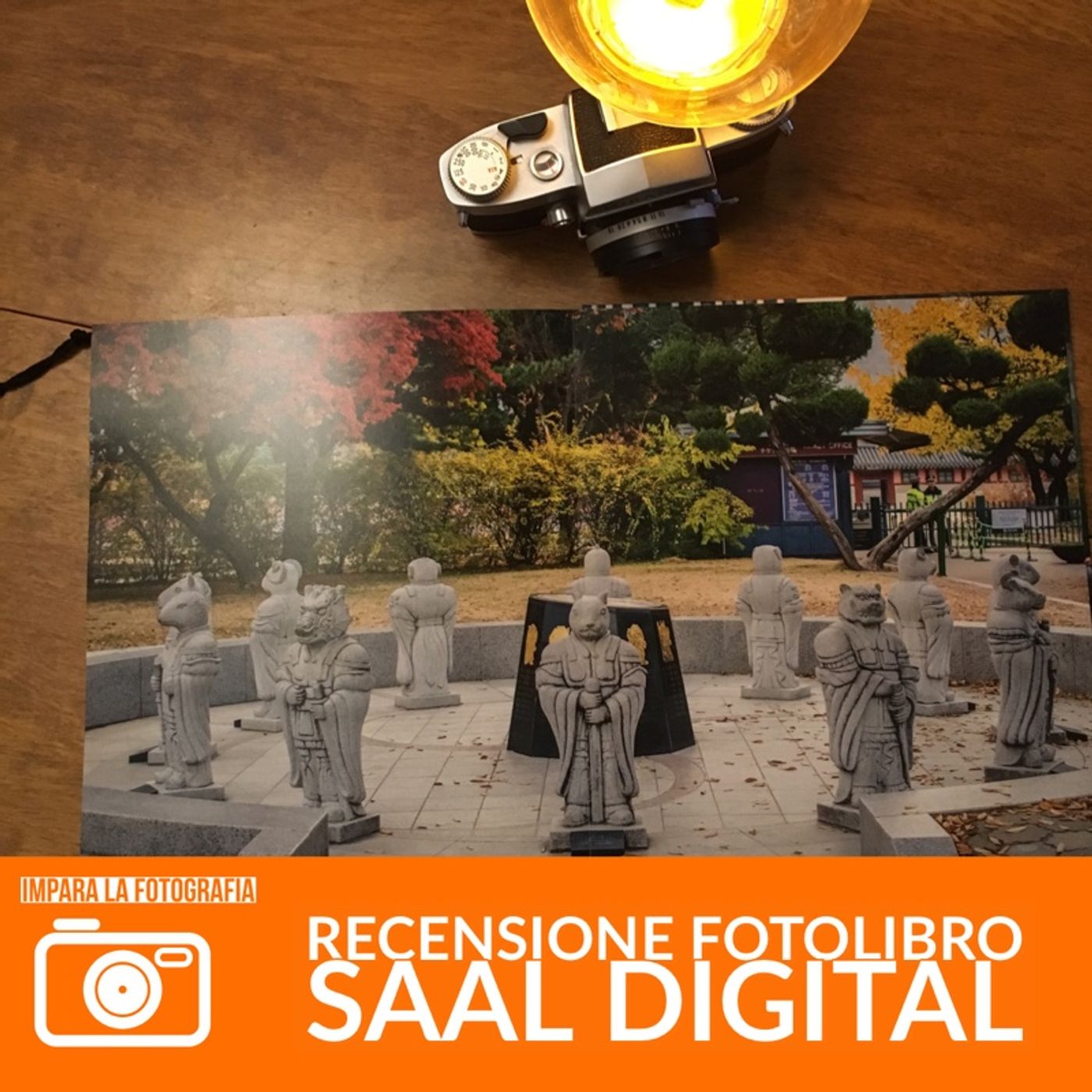 Impara La Fotografia