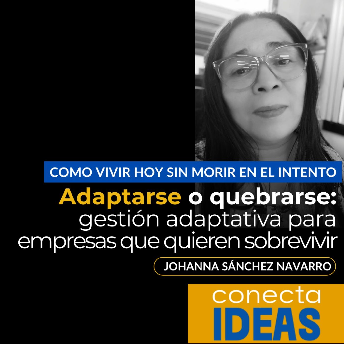 Conecta Ideas