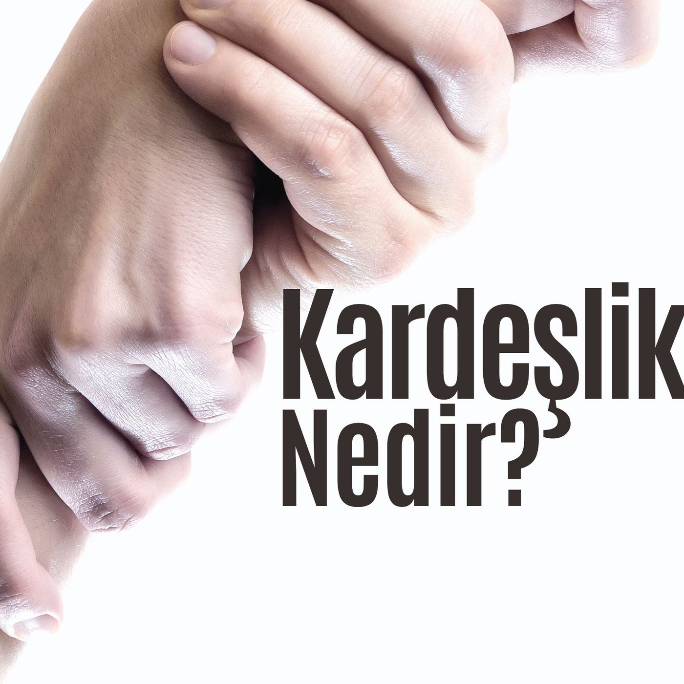 Kardeşlik Nedir? episode artwork