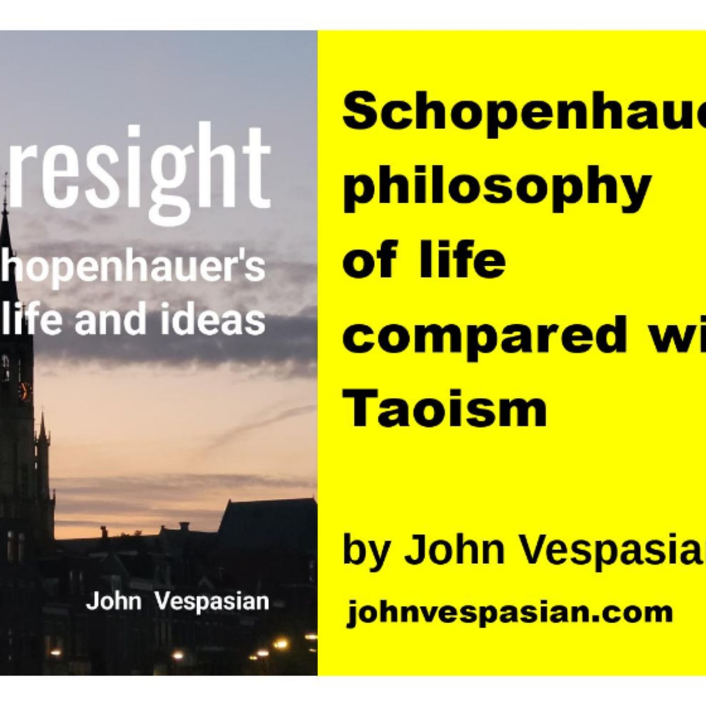 Schopenhauer’s philosophy of life compared with Taoism episode artwork