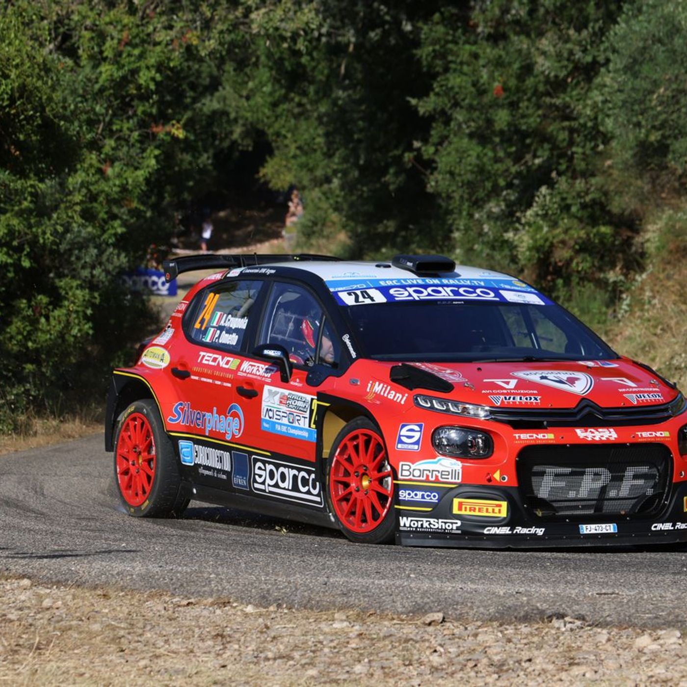 rallylink - si parla di rally