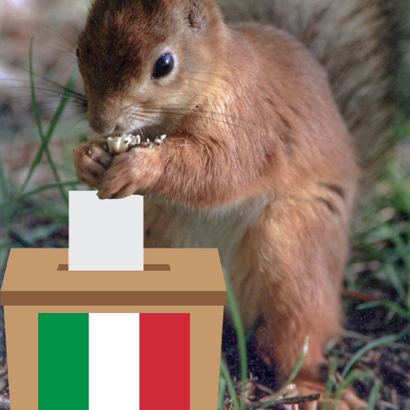 Voci dal Bosco "Scoiattoli al voto"