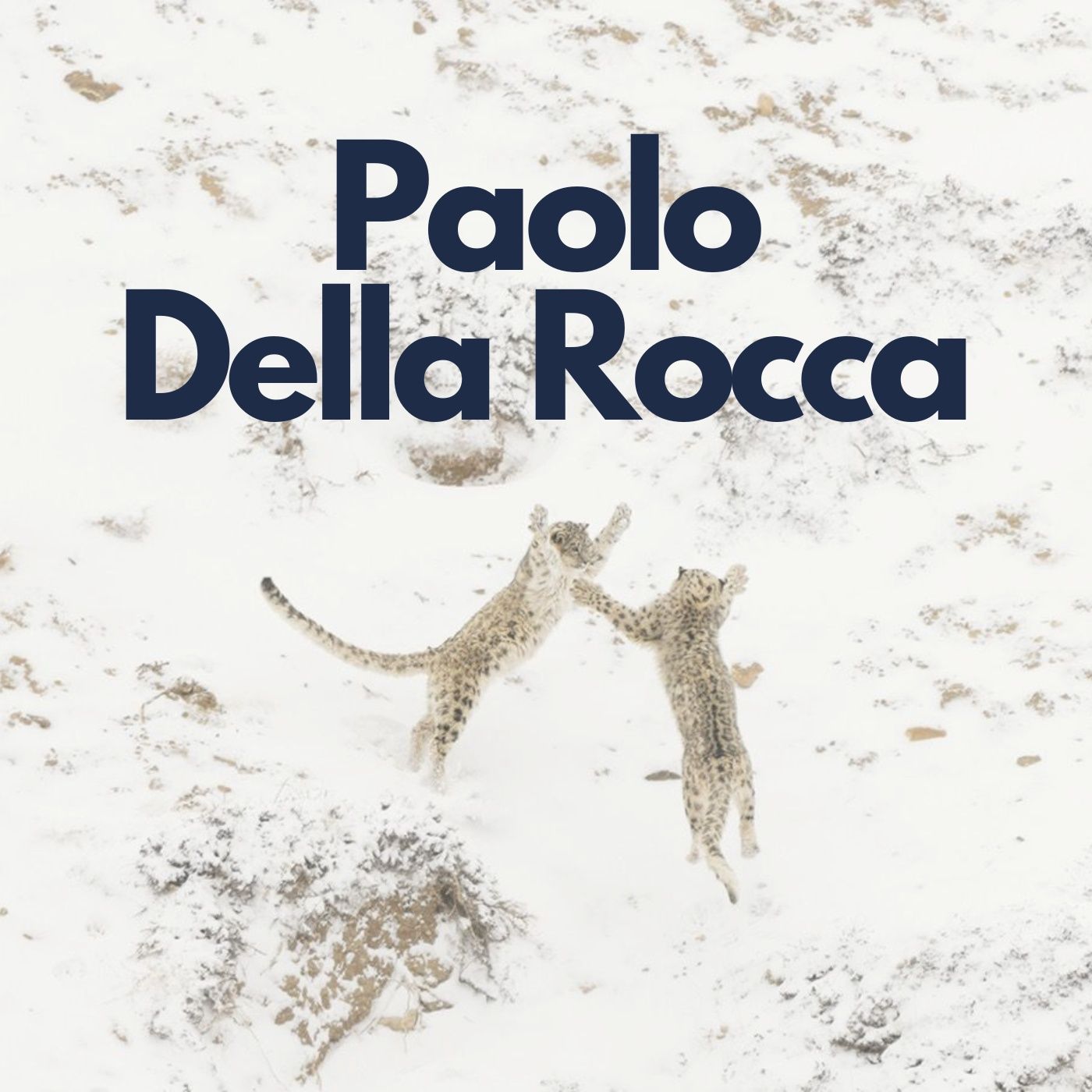 250 - Paolo Della Rocca: Nature Photographer of the Year 2024