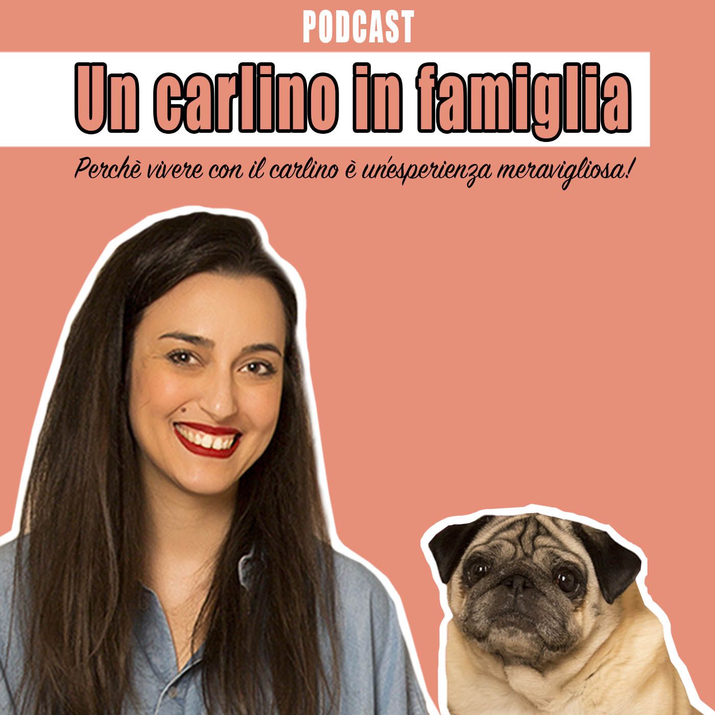 Un carlino in famiglia