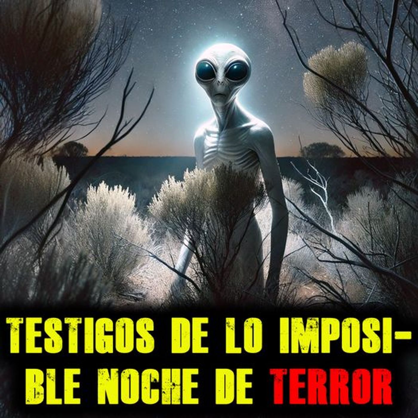 Apariciones OVNI y Criaturas EXTRAÑA
