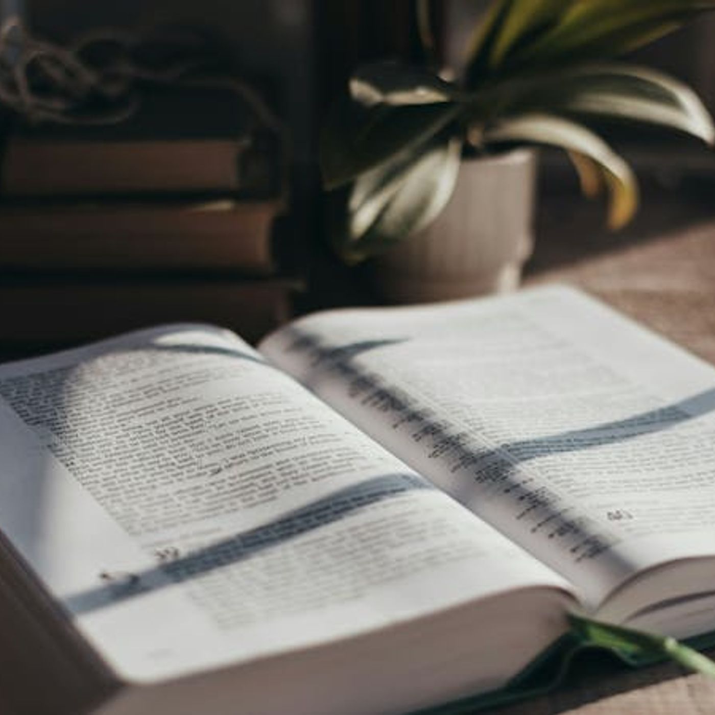 Maximize Your Daily Bible Reading Maximize Your Daily Bible Reading