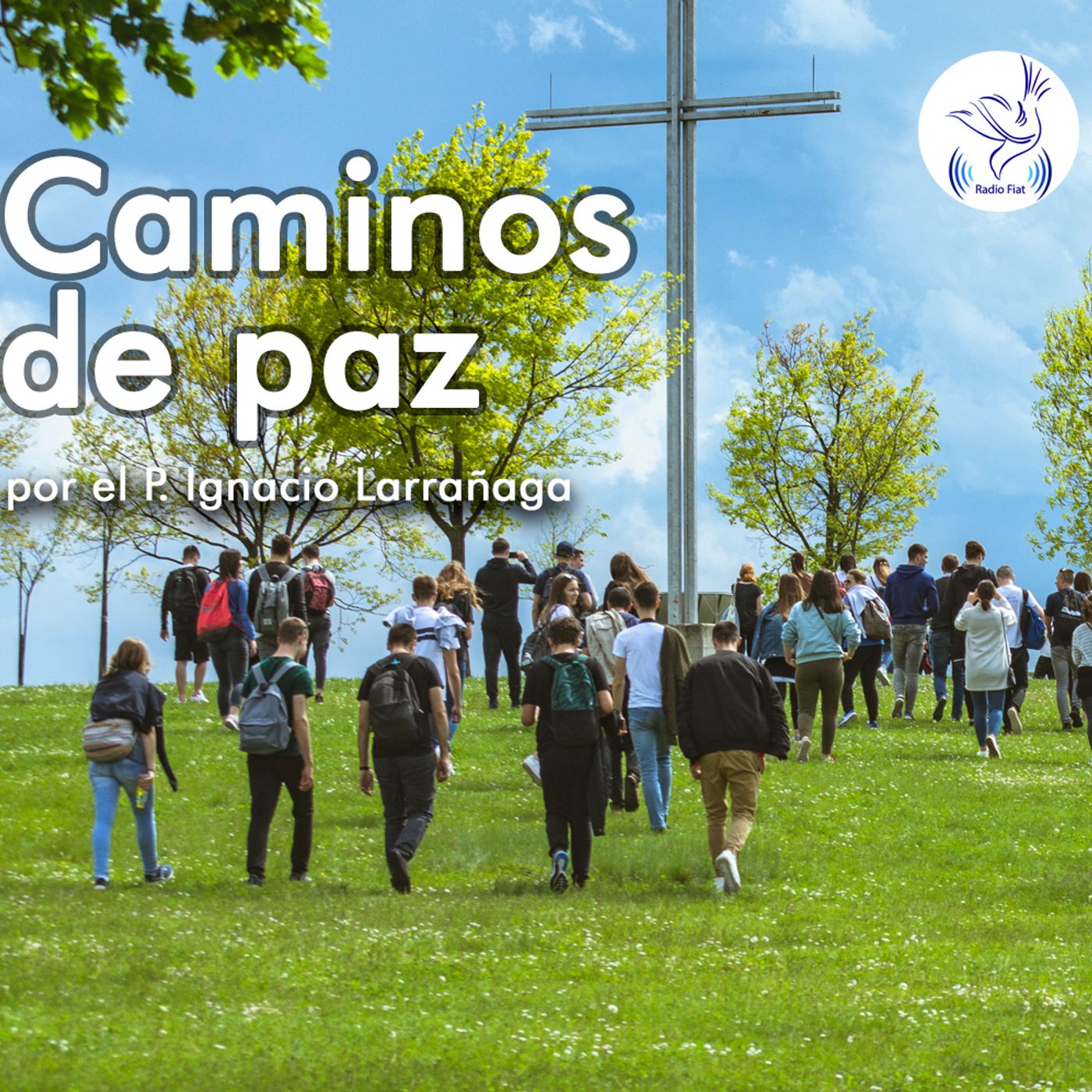 Caminos de paz 04 Despertar es salvarse (por el P. Ignacio Larrañaga)