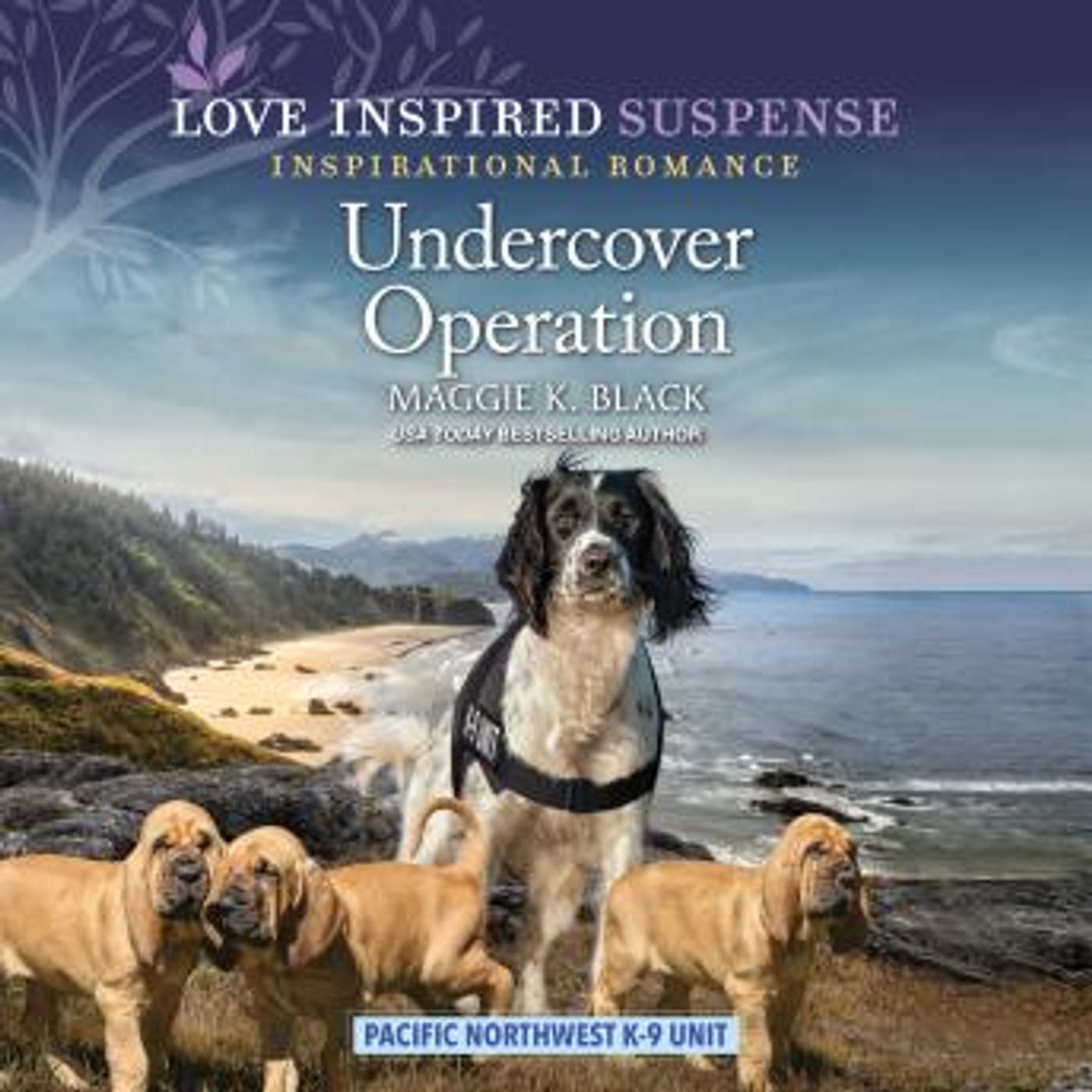 Access Top-Rated Full Audiobooks in Romance, Clean & Wholesome