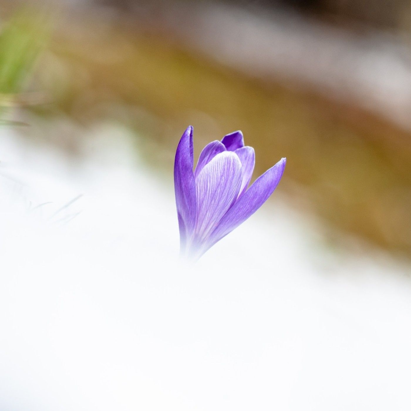 Mauro Barbacci PODCAST