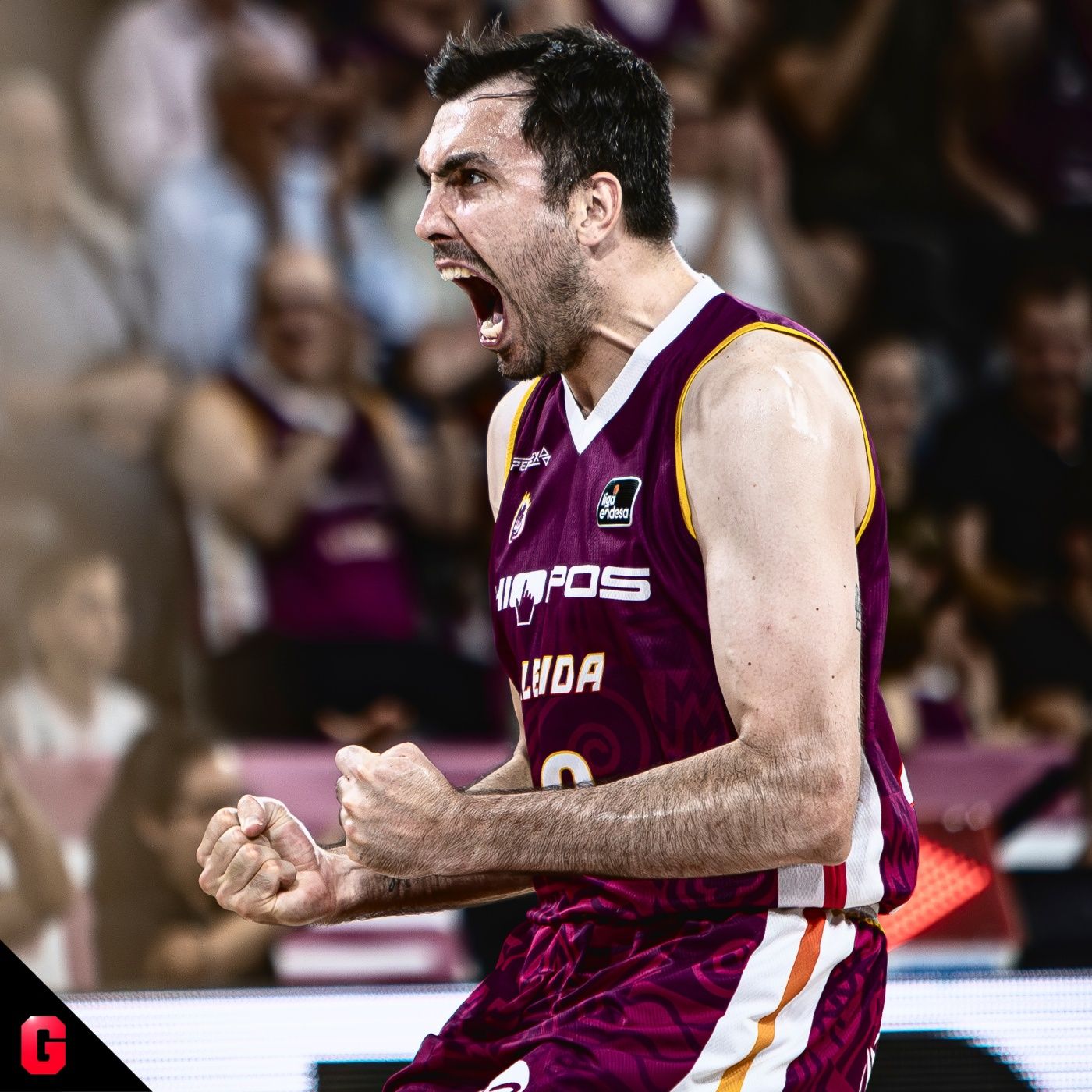 Gigantes Daily, baloncesto al día
