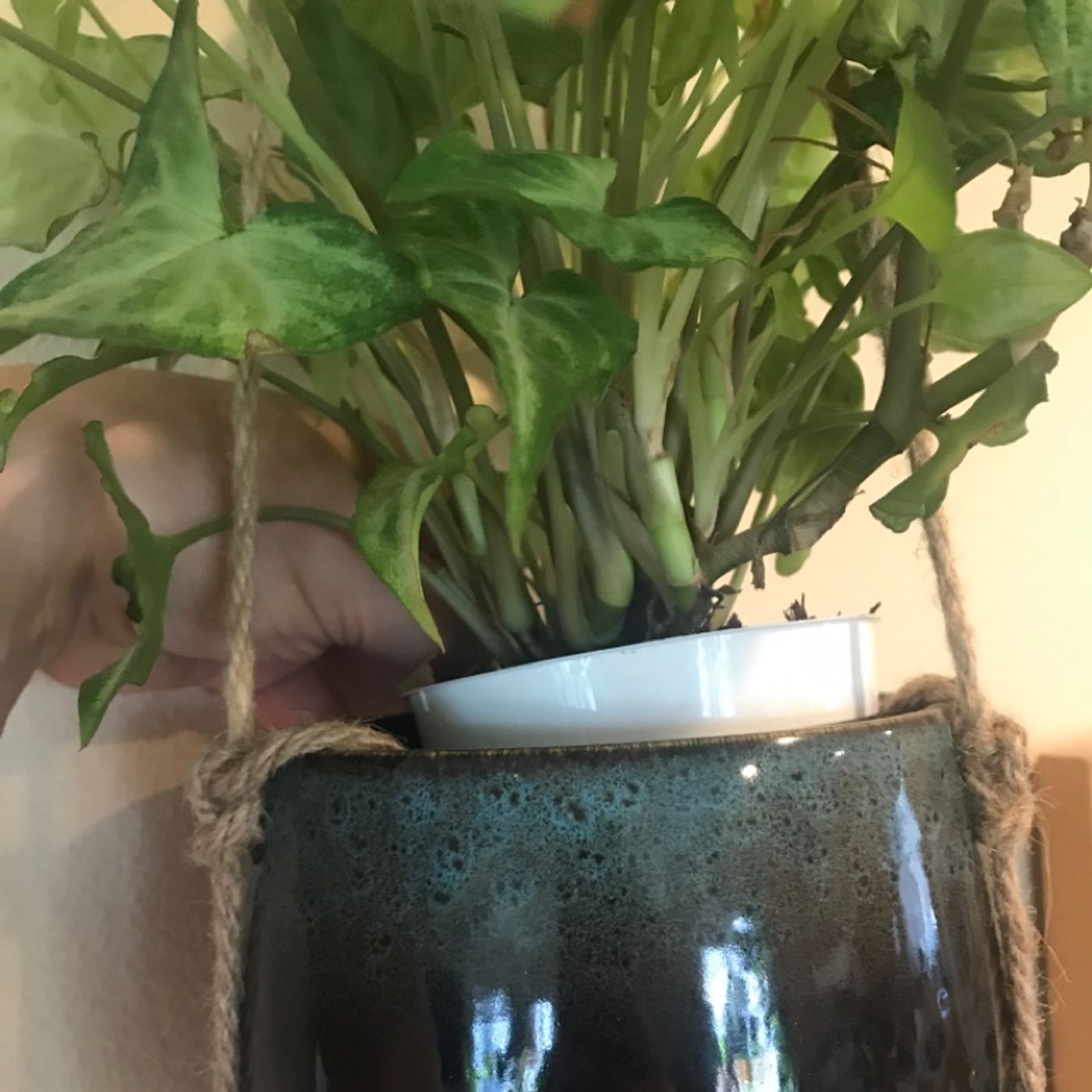 Episode 3 - Cachepots and making things easy