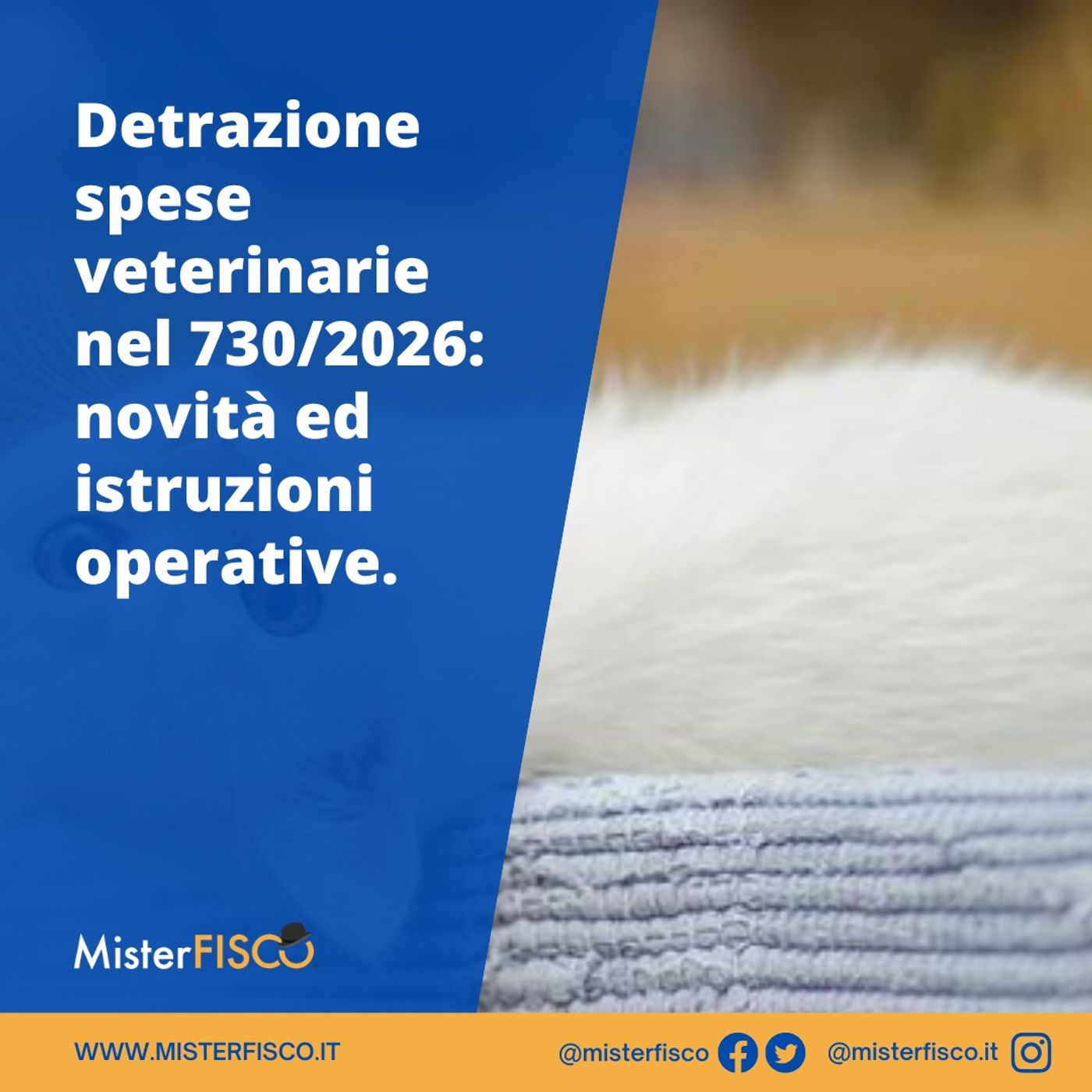 Detrazione spese veterinarie nel 730/2026: novità ed istruzioni operative episode artwork