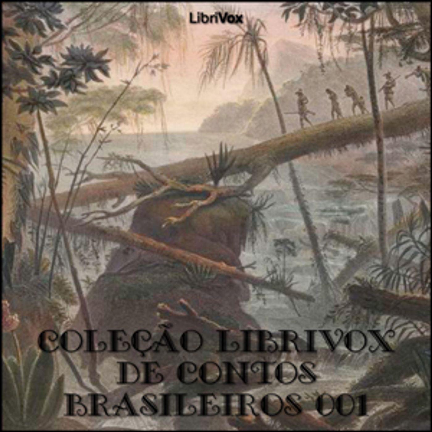 Coleção LibriVox de Contos Brasileiros 001 by Various