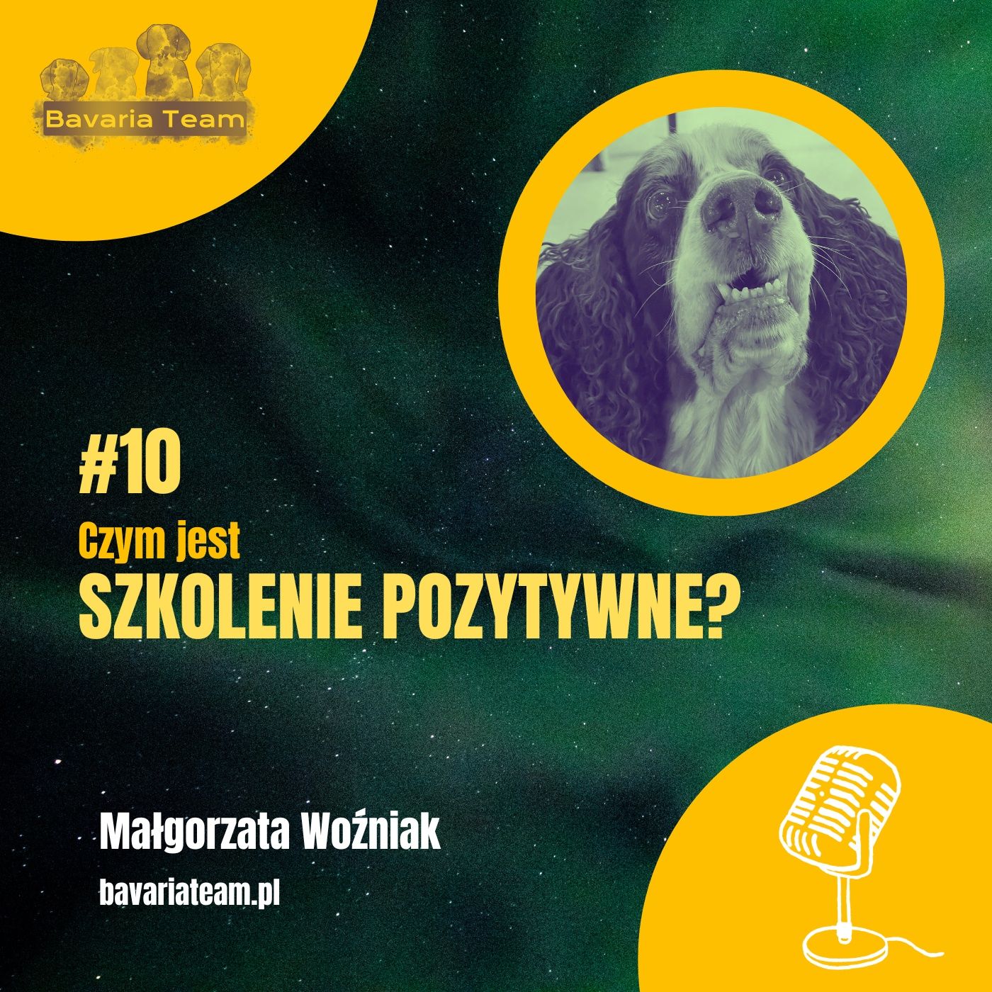 #10. Czym jest szkolenie pozytywne? episode artwork