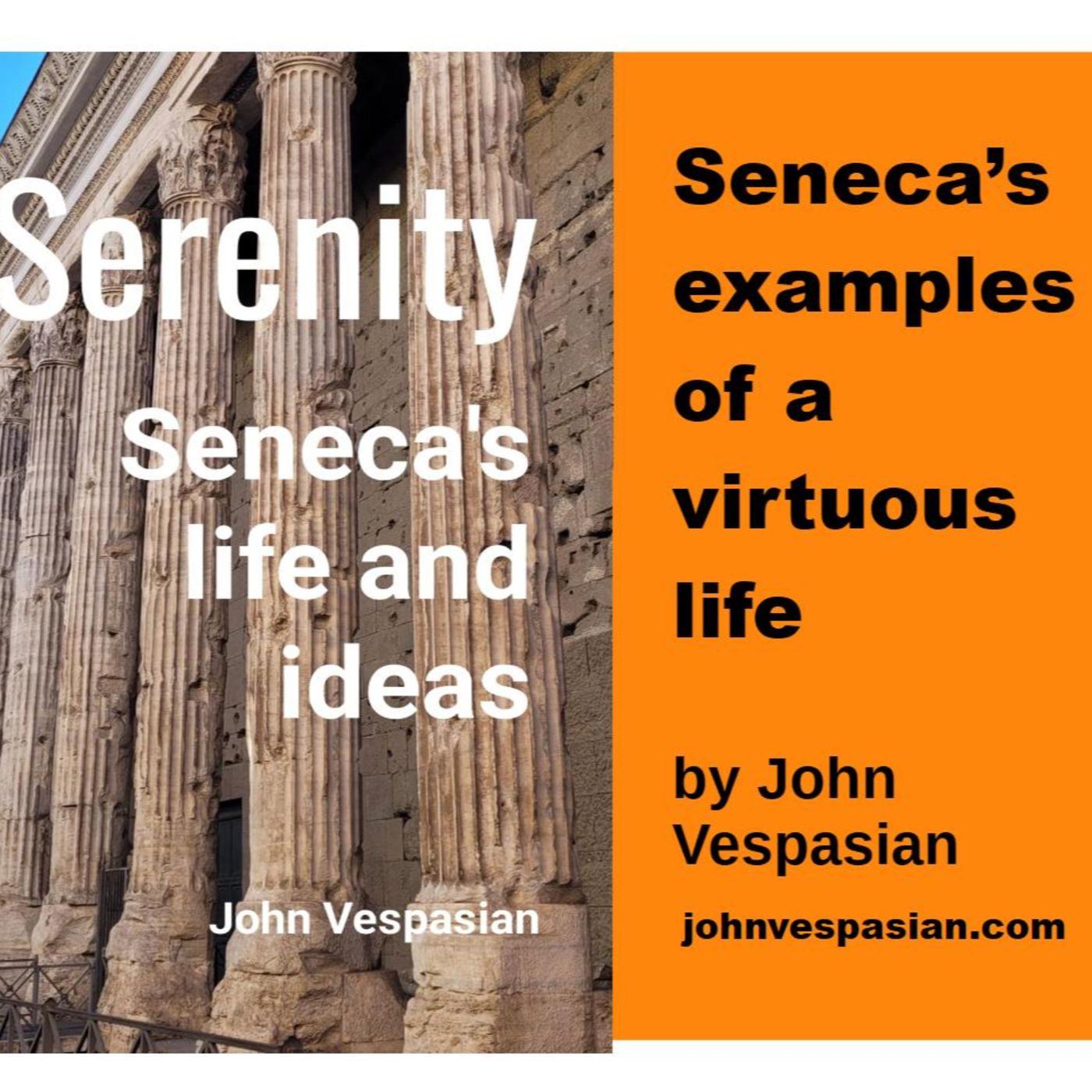 Seneca's examples of a virtuous life episode artwork