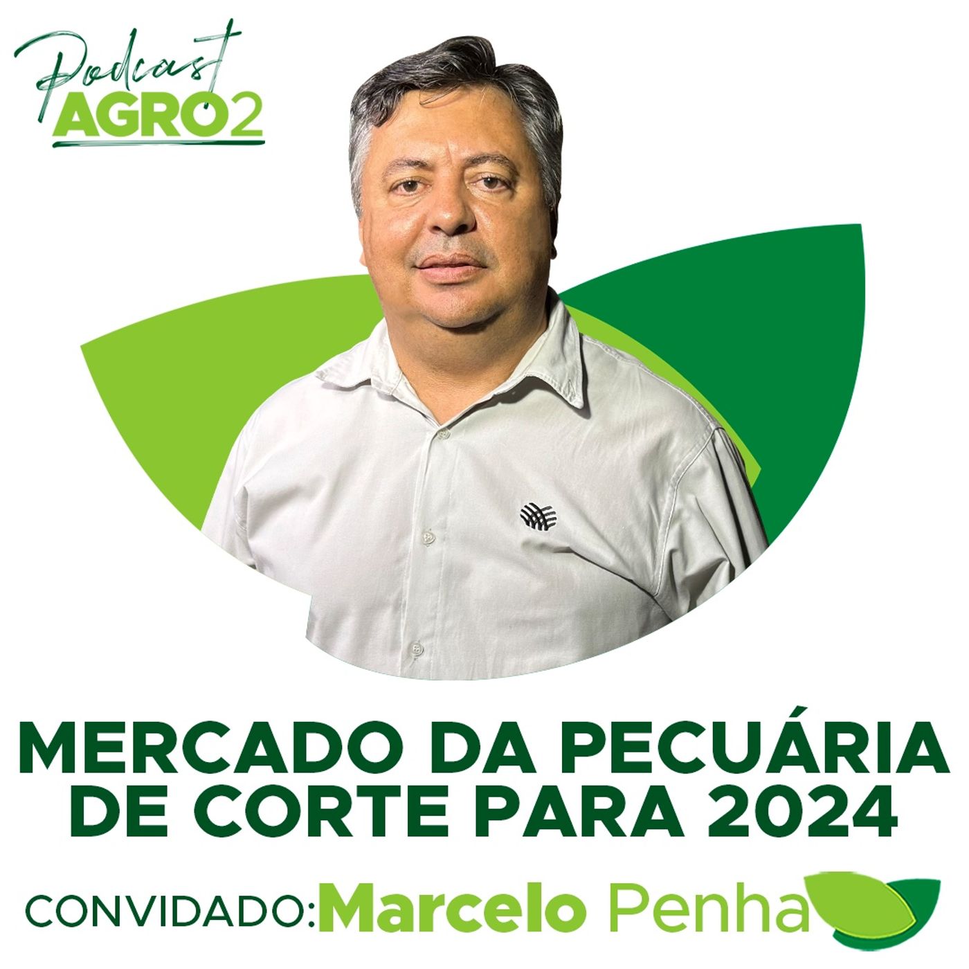 Como superar os desafios econômicos e climáticos na pecuária de corte bovina de corte em 2024? #264 episode artwork