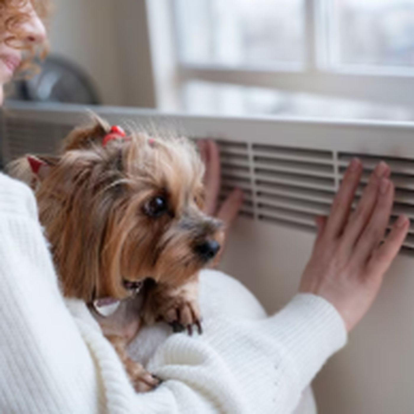 Best 17.25x23.25x1 Furnace & HVAC Air Conditioner Filters