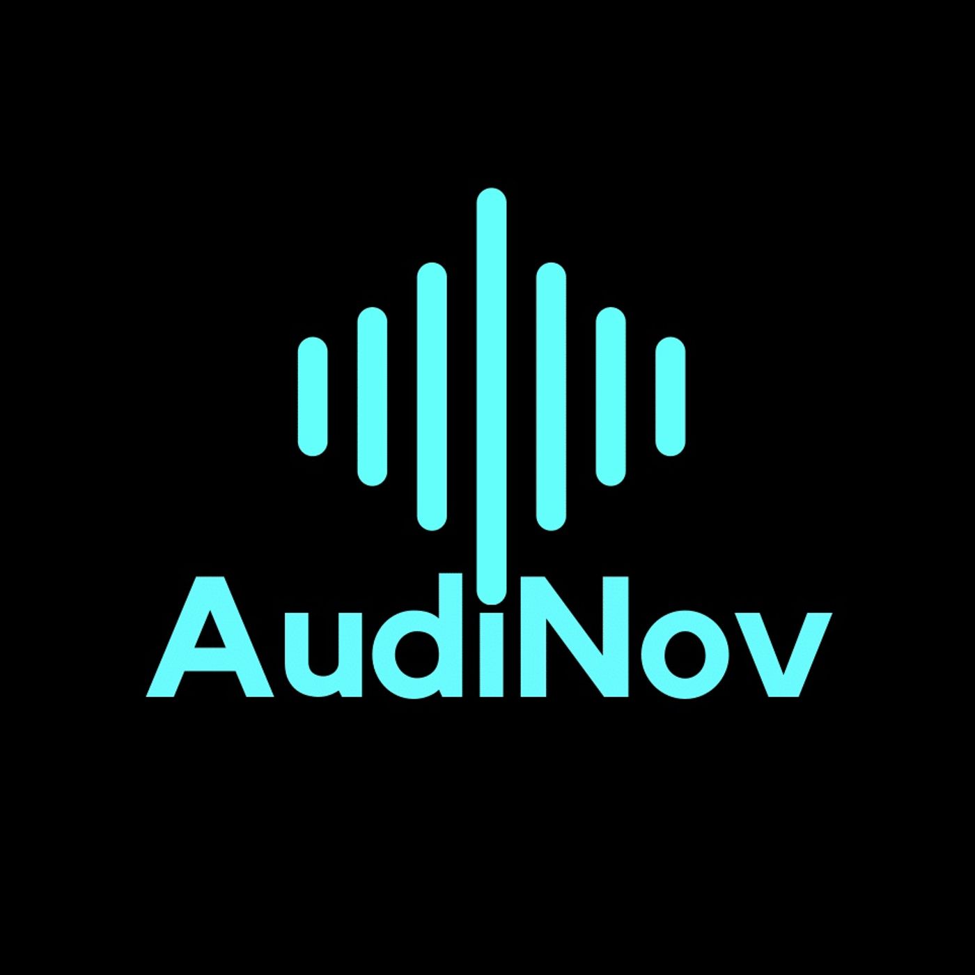 AudiNov