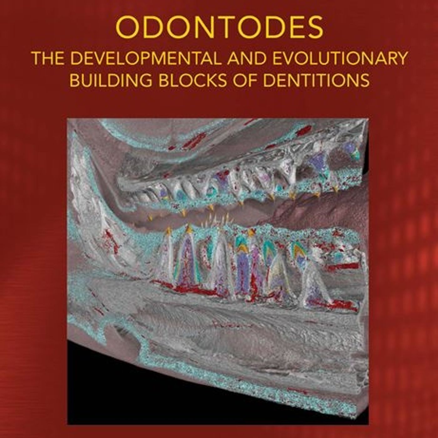 Odontodes: The Developmental and Evolutionary Building Blocks of Dentitions