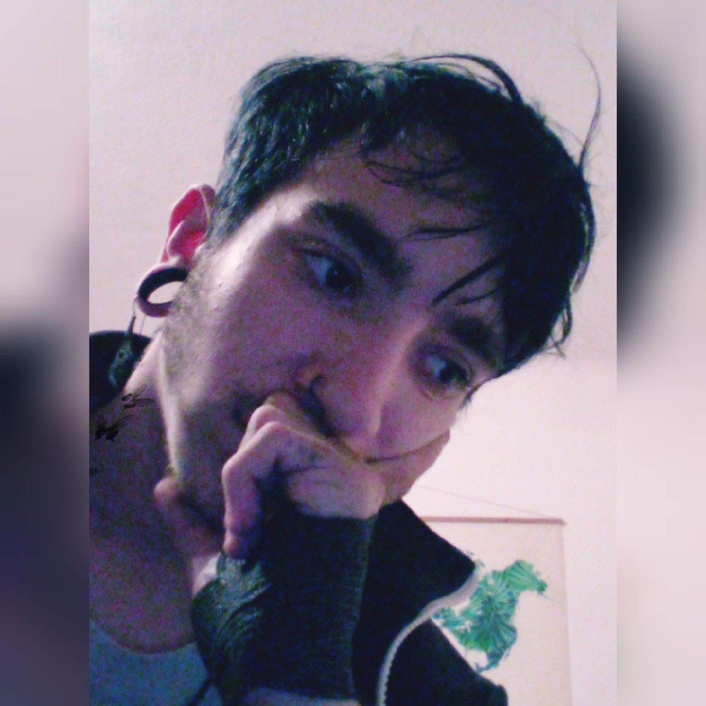 Jannless