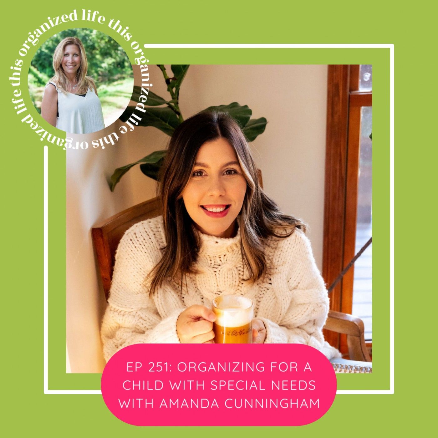 ep 251: Organizing for a child with Special Needs with Amanda Cunningham