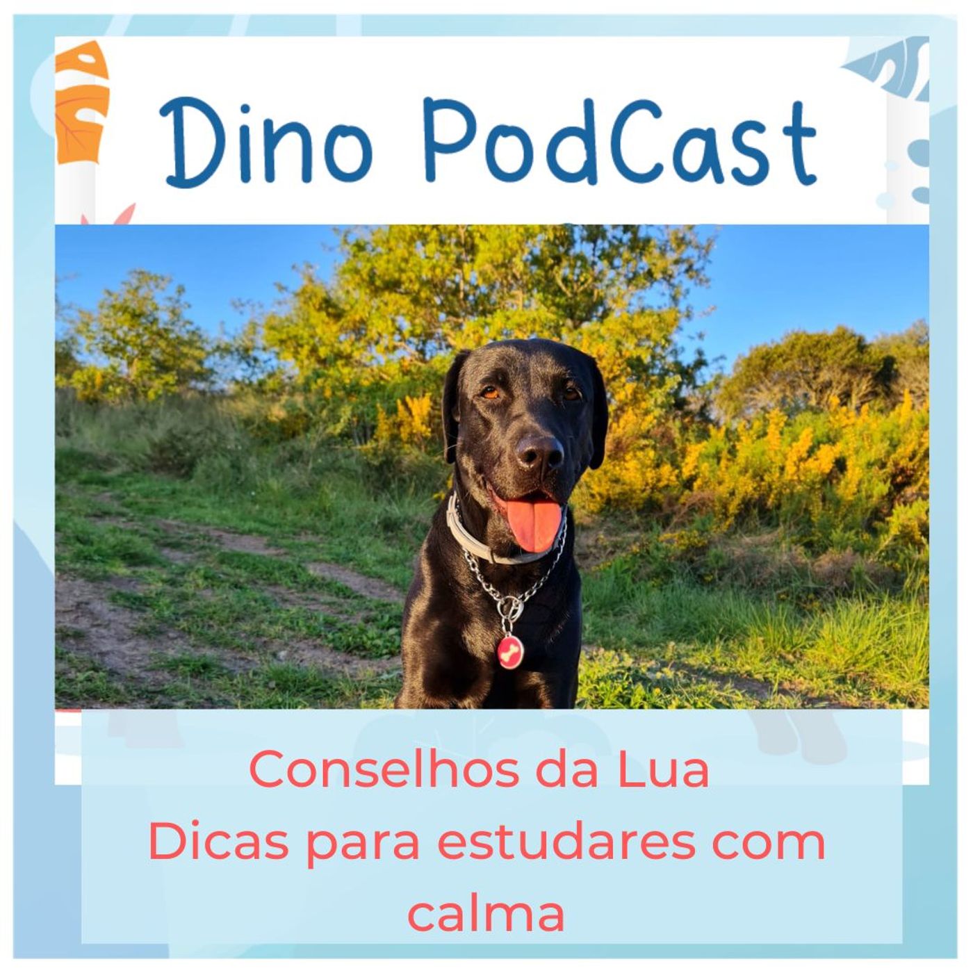 Dinopod