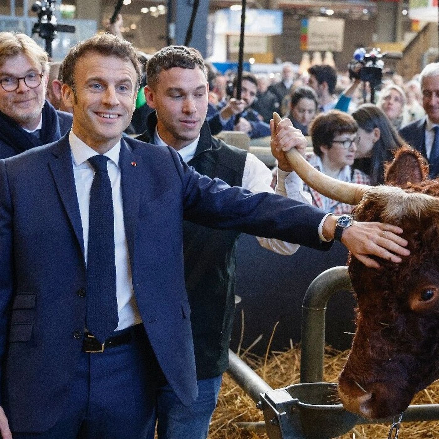 Francia24: disoccupazione in aumento, obiettivi di Macron compromessi - Nuova tassa: sui fast food, applicabile vicino alle scuole - Attenti