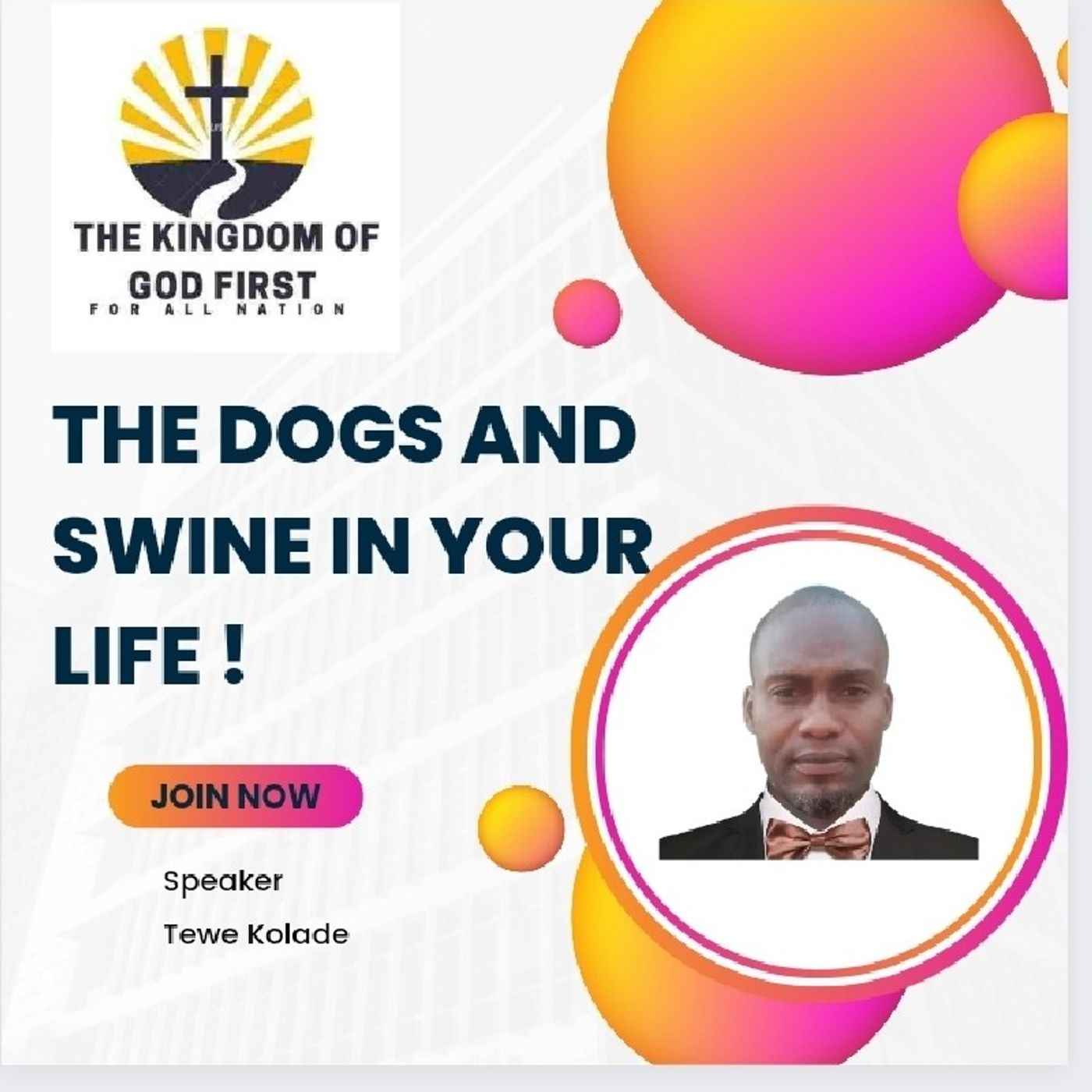 THE DOGS AND SWINE IN YOUR LIFE! episode artwork