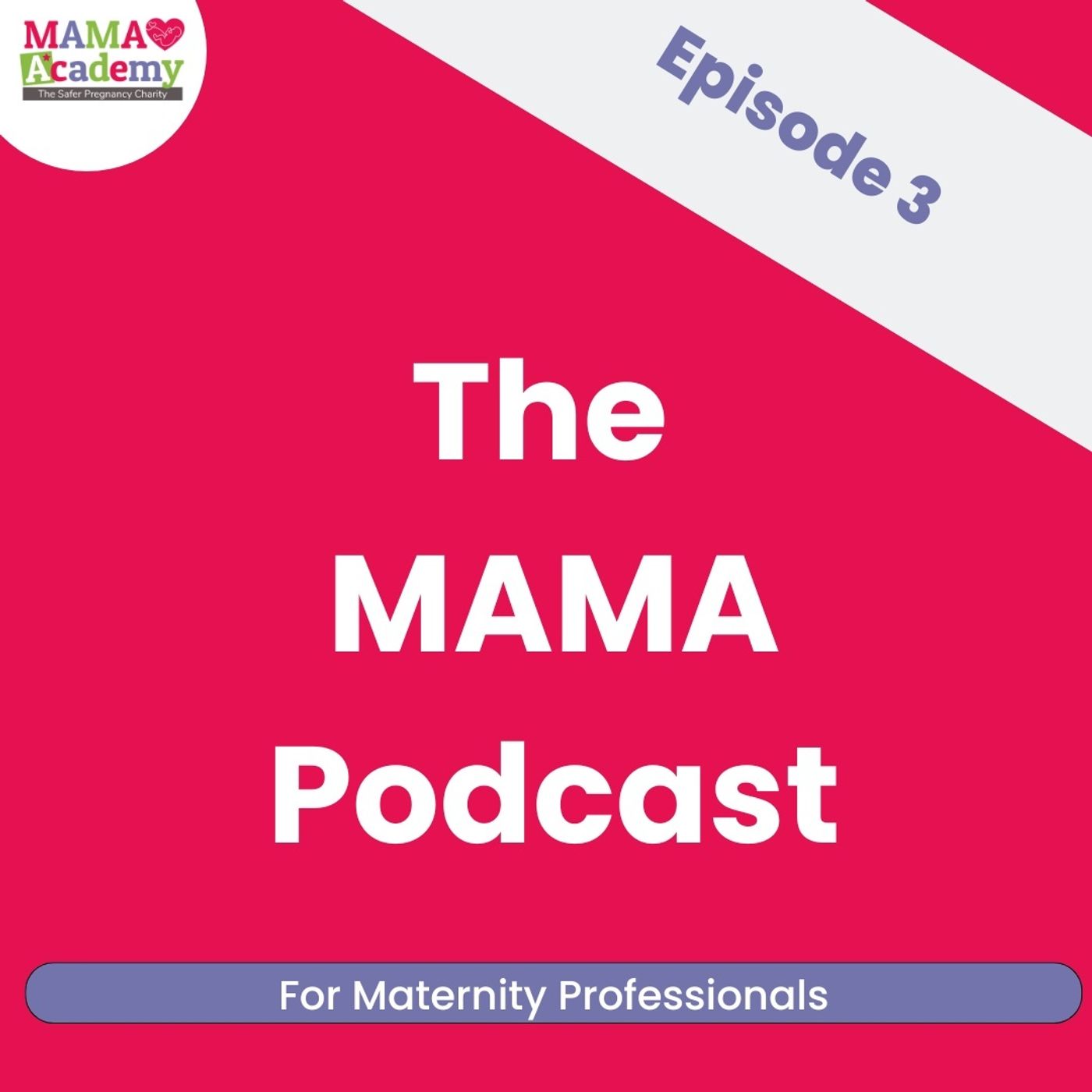 Episode 3: Equity In Action; Inclusive, Respectful Maternity Care episode artwork