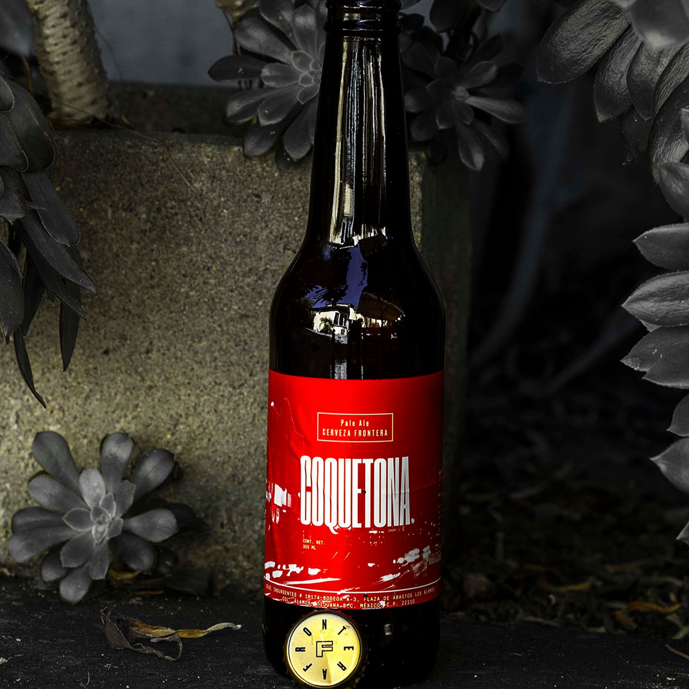 Cervezas Artesanales Méxicanas