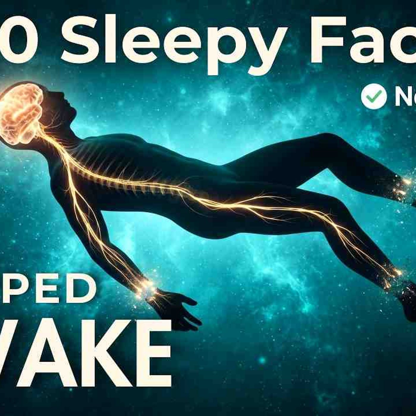 Sleep Science