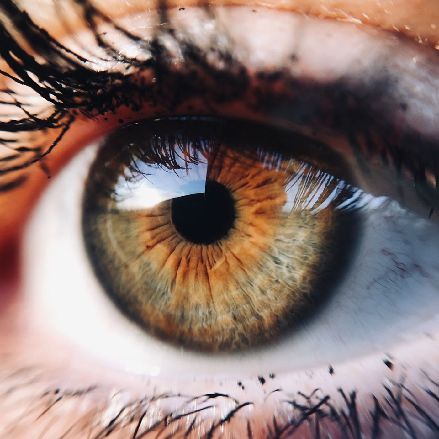 450- Gli OCCHI sono lo specchio dell’Anima? Scopri come usare lo SGUARDO!