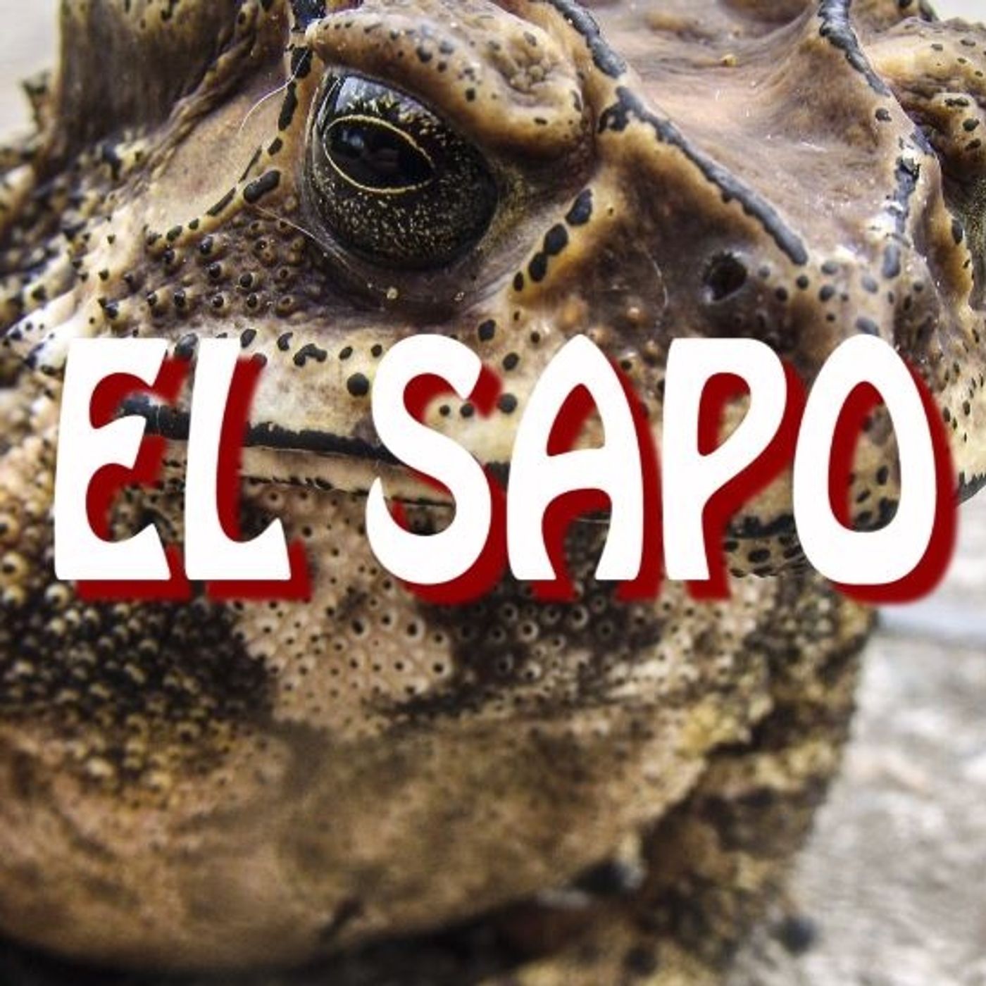 El Sapo / Relato de Terror