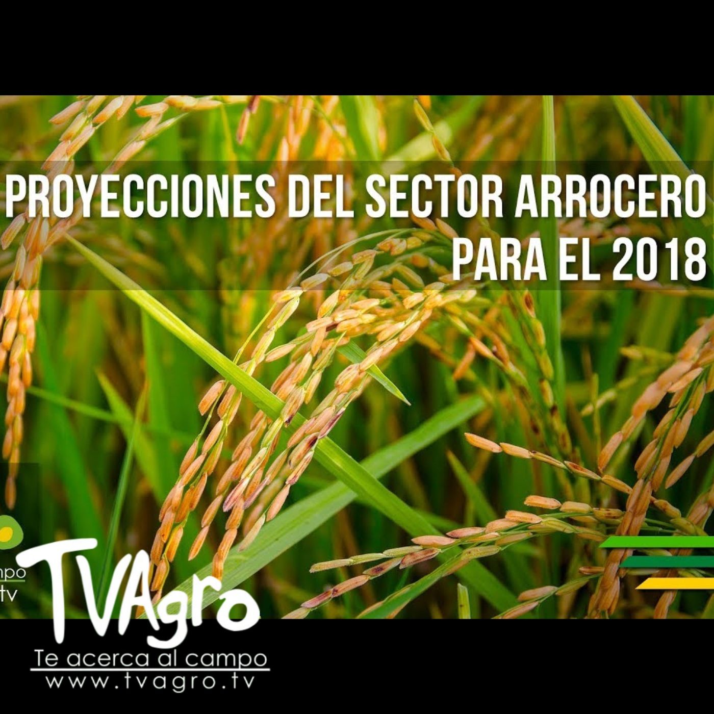 TV AGRO