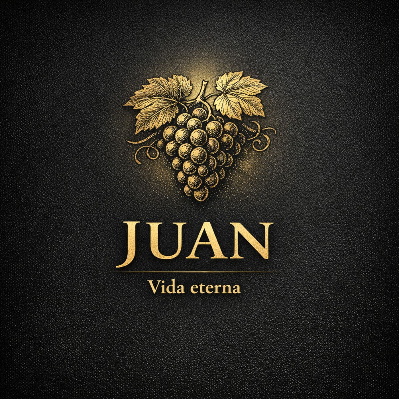 Biblia en audio | Juan 10 – El buen pastor episode artwork
