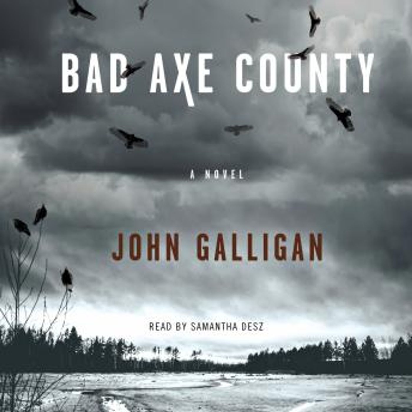Grab the Essential Free Audiobooks in Mystery, Thriller & Horror, Police & Detective