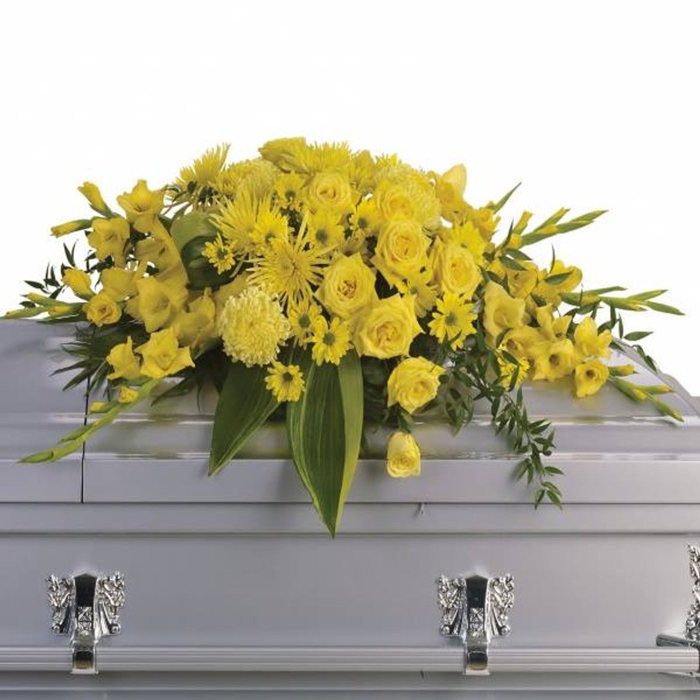 Cremation Albany OR\'s tracks